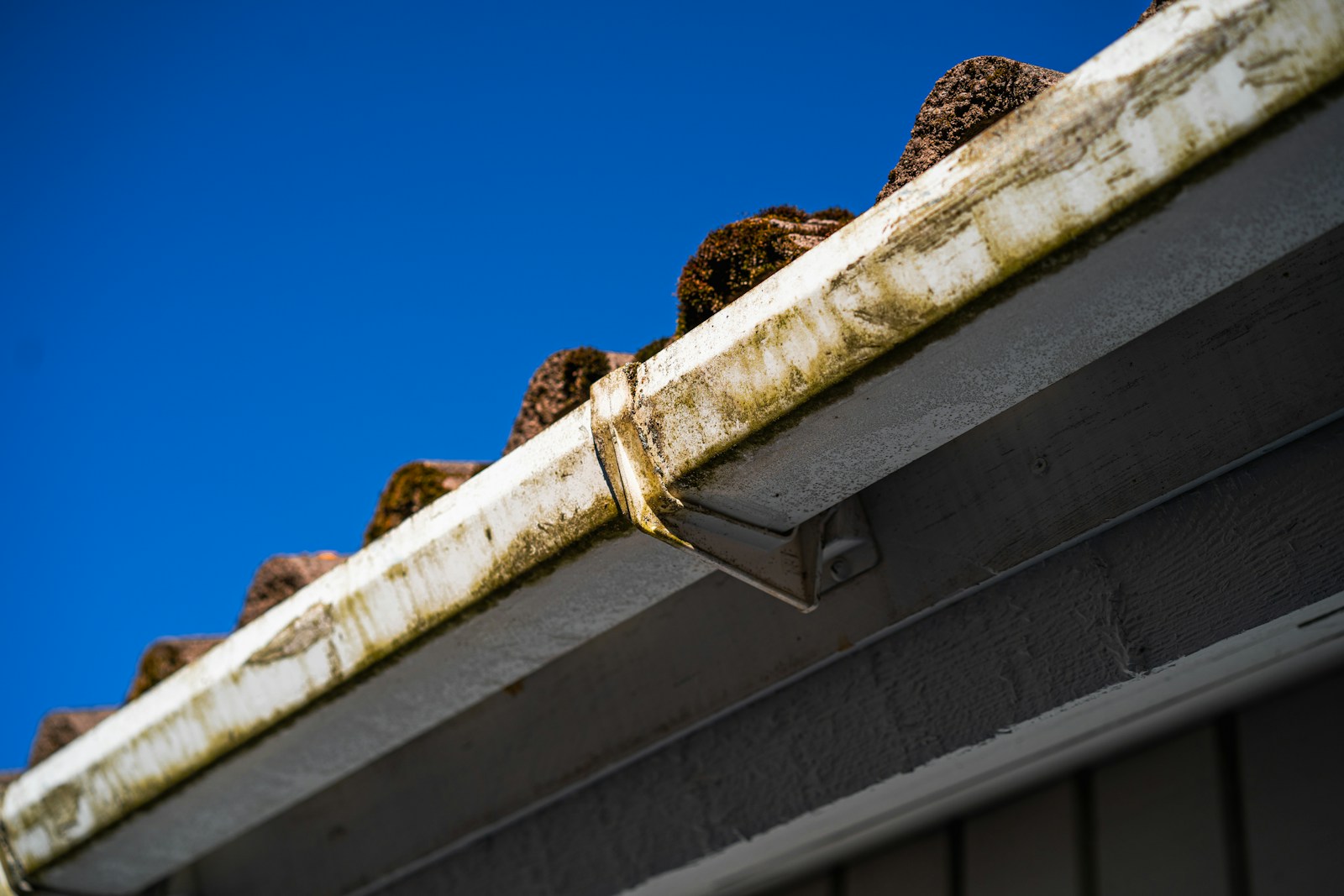 Dirty gutter with moss and grime before cleaning